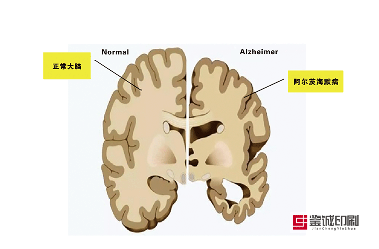 宣傳手冊印刷